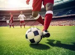 平陆运河双,枢纽建设迈,出关键步伐,香港赛马会,香港赛马,马会赛事,赛马资讯