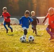 国王队德罗,赞孤军奋战,惜败步行者,香港赛马会,香港赛马,马会赛事,赛马资讯