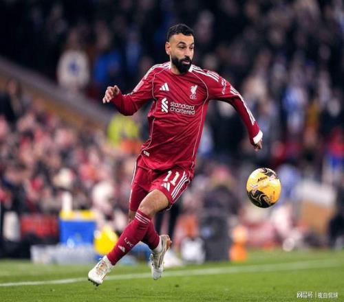 名记预测,布朗尼明年,加盟若成真,香港赛马会,香港赛马,马会赛事,赛马资讯